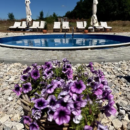 Pointview House Gesha * Дряново