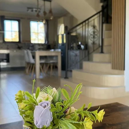 Pointview House Gesha *